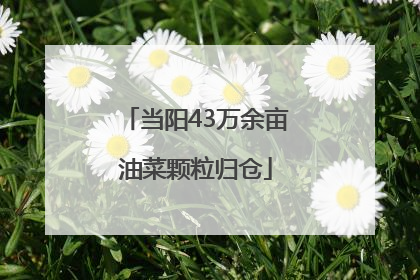 当阳43万余亩油菜颗粒归仓