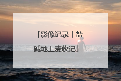 影像记录丨盐碱地上麦收记