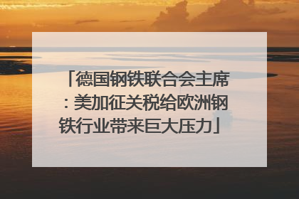 德国钢铁联合会主席：美加征关税给欧洲钢铁行业带来巨大压力