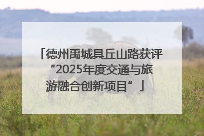德州禹城具丘山路获评“2025年度交通与旅游融合创新项目”