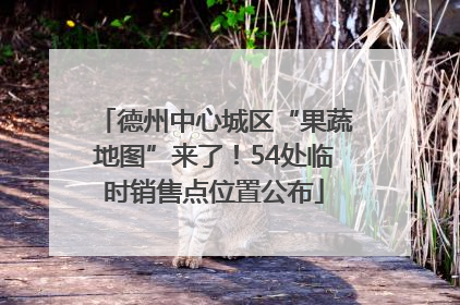 德州中心城区“果蔬地图”来了！54处临时销售点位置公布