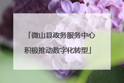 微山县政务服务中心积极推动数字化转型