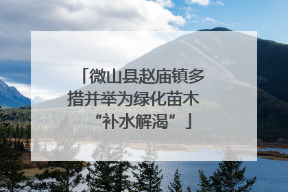 微山县赵庙镇多措并举为绿化苗木“补水解渴”