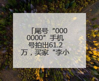 尾号“0000000”手机号拍出61.2万，买家“李小龙”已付尾款，仅享有使用权