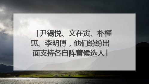 尹锡悦、文在寅、朴槿惠、李明博，他们纷纷出面支持各自阵营候选人