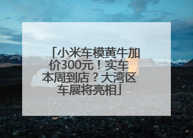 小米车模黄牛加价300元！实车本周到店？大湾区车展将亮相