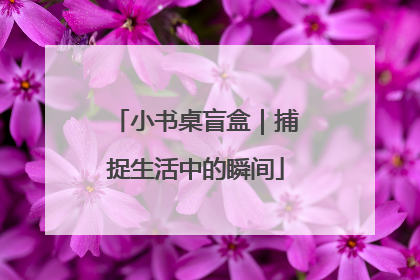 小书桌盲盒｜捕捉生活中的瞬间