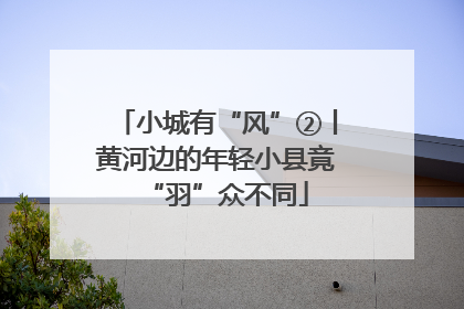 小城有“风”②丨黄河边的年轻小县竟“羽”众不同