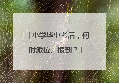 小学毕业考后，何时派位、报到？