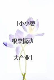 小小碧根果撬动大产业