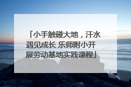 小手触碰大地，汗水遇见成长 乐师附小开展劳动基地实践课程