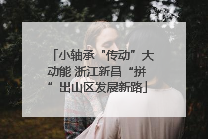 小轴承“传动”大动能 浙江新昌“拼”出山区发展新路