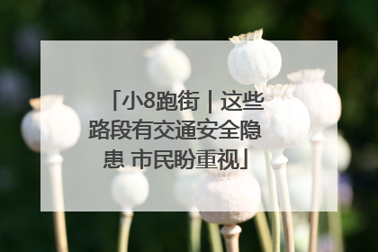 小8跑街｜这些路段有交通安全隐患 市民盼重视