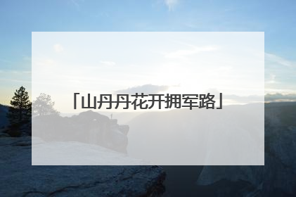 山丹丹花开拥军路