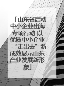 山东省启动中小企业出海专项行动 以优质中小企业“走出去”新成效展示山东产业发展新形象