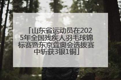 山东省运动员在2025年全国残疾人羽毛球锦标赛暨东京聋奥会选拔赛中斩获3银1铜