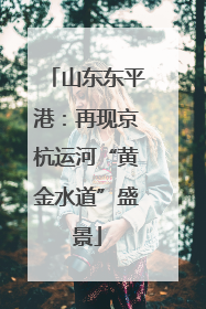 山东东平港：再现京杭运河“黄金水道”盛景