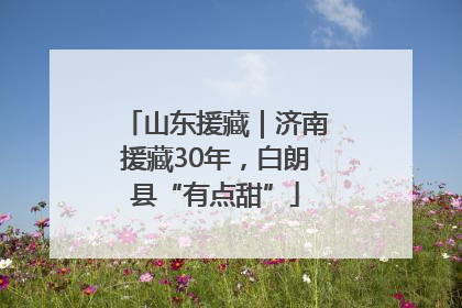 山东援藏｜济南援藏30年，白朗县“有点甜”