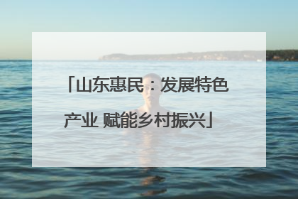 山东惠民：发展特色产业 赋能乡村振兴