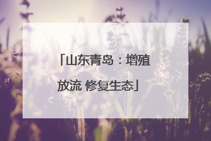 山东青岛：增殖放流 修复生态