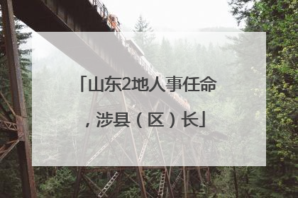 山东2地人事任命，涉县（区）长