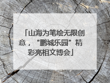 山海为笔绘无限创意，“鹏城乐园”精彩亮相文博会