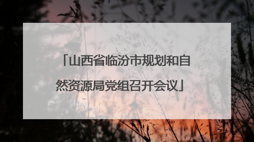 山西省临汾市规划和自然资源局党组召开会议
