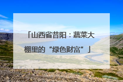 山西省昔阳：蔬菜大棚里的“绿色财富”