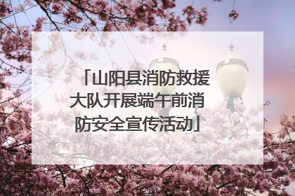 山阳县消防救援大队开展端午前消防安全宣传活动