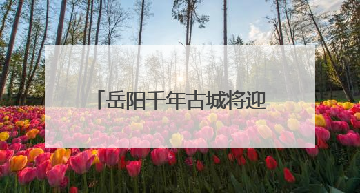岳阳千年古城将迎“提瓦特大陆”破次元狂欢 湘鄂赣玩家共赴文旅盛宴
