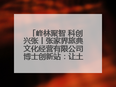 峰林聚智 科创兴张丨张家界旅典文化经营有限公司博士创新站：让土家织锦“智”造出非遗新传奇