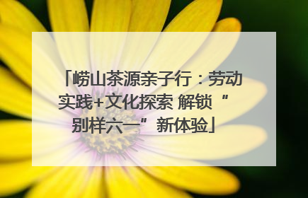 崂山茶源亲子行：劳动实践+文化探索 解锁“别样六一”新体验