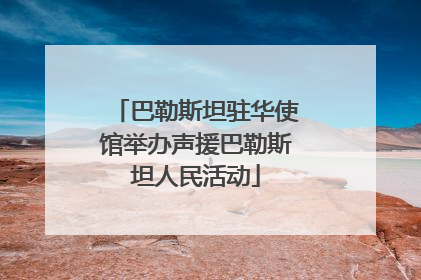 巴勒斯坦驻华使馆举办声援巴勒斯坦人民活动