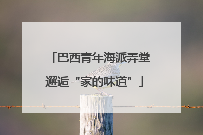 巴西青年海派弄堂邂逅“家的味道”