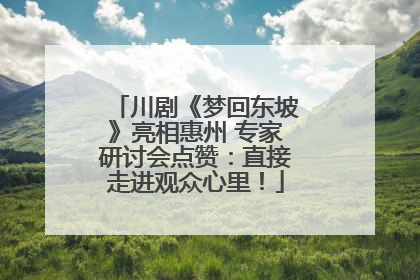 川剧《梦回东坡》亮相惠州 专家研讨会点赞：直接走进观众心里！