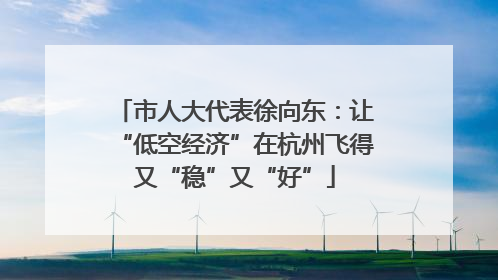 市人大代表徐向东：让“低空经济”在杭州飞得又“稳”又“好”