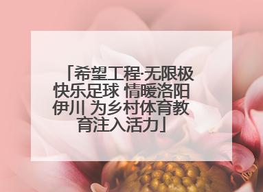 希望工程·无限极快乐足球 情暖洛阳伊川 为乡村体育教育注入活力