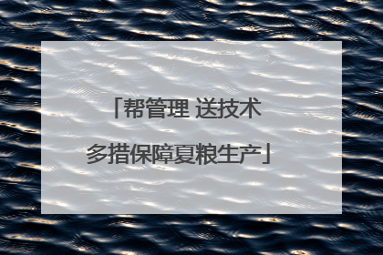 帮管理 送技术 多措保障夏粮生产