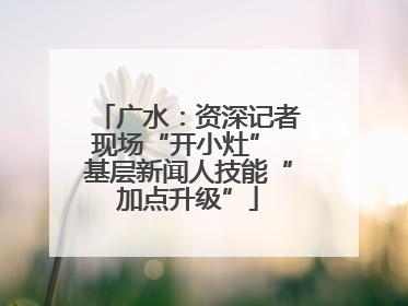 广水：资深记者现场“开小灶” 基层新闻人技能“加点升级”