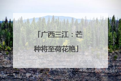 广西三江：芒种将至荷花艳