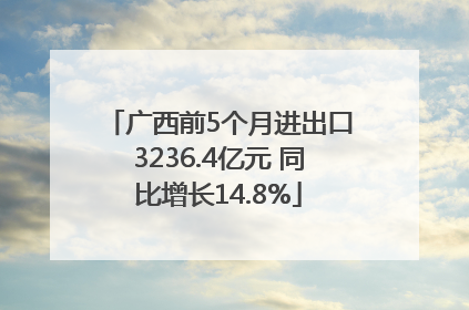 广西前5个月进出口3236.4亿元 同比增长14.8%