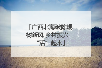 广西北海破陈规树新风 乡村振兴“活”起来