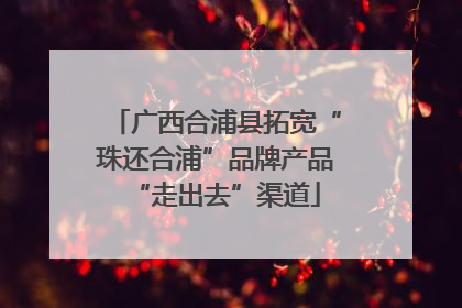 广西合浦县拓宽“珠还合浦”品牌产品“走出去”渠道