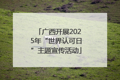 广西开展2025年“世界认可日”主题宣传活动
