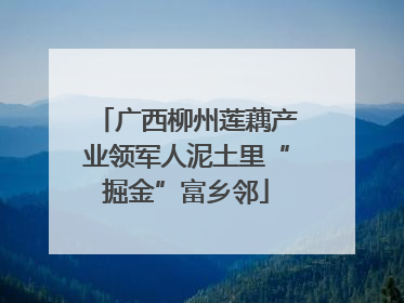 广西柳州莲藕产业领军人泥土里“掘金”富乡邻