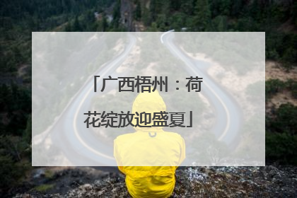 广西梧州：荷花绽放迎盛夏
