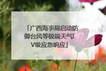 广西海事局启动防御台风等极端天气IV级应急响应