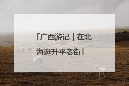 广西游记｜在北海逛升平老街