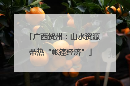 广西贺州：山水资源带热“帐篷经济”