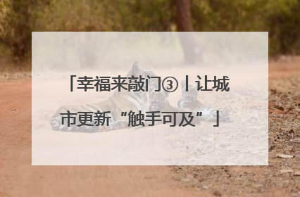 幸福来敲门③丨让城市更新“触手可及”